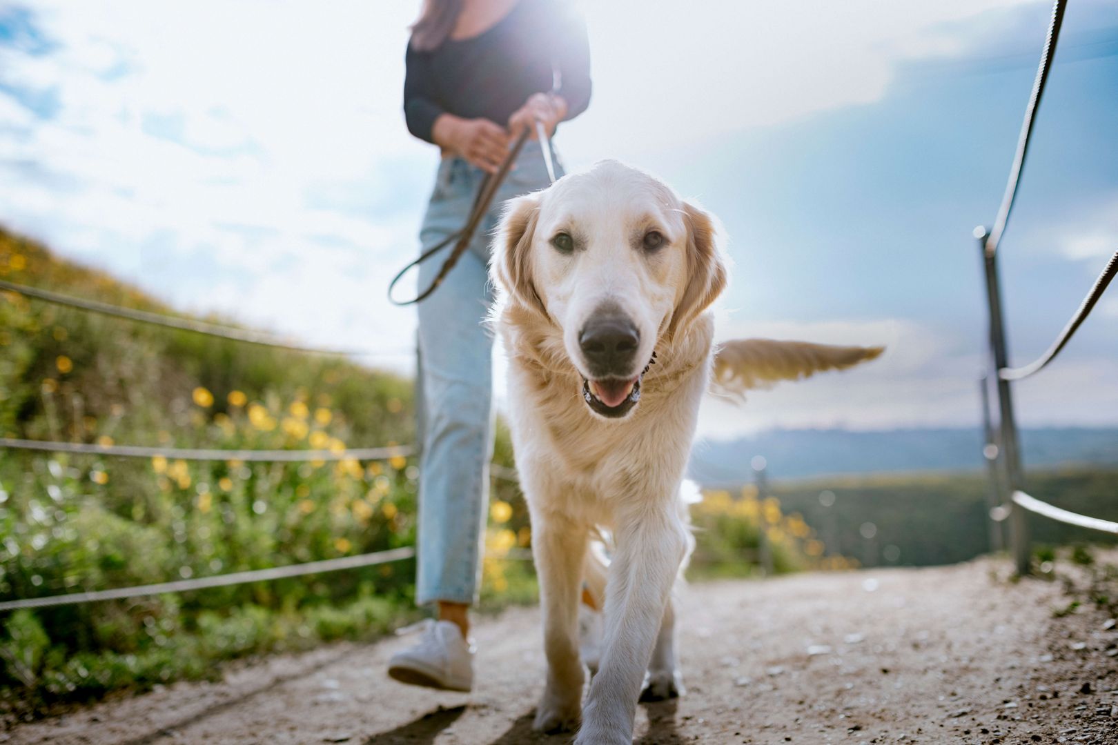Frau geht mit Hund spazieren